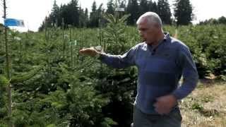 Tout savoir sur les sapins botanic® [upl. by Cristi]