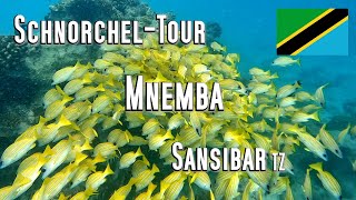 Sansibar SchnorchelTour zur Insel Mnemba nähe Nungwi und Kendwa Korallen Clownfische Schwärme [upl. by Ynnob]