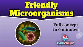 Chapter 2 Class 8 Science  Groups of Microbes Bacteria amp Virus  Microorganisms Friend and Foe [upl. by Tnomal]