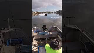 Nerang River Fishing  fishing fish whiting shorts [upl. by Eilah]