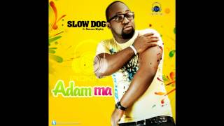 Slowdog  Adamma Ft Duncan Mighty [upl. by Letnwahs]