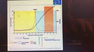 DIY Maximize Puppy Litter Size With Progesterone Test [upl. by Hardej]