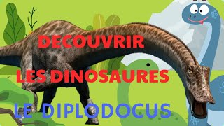 DECOUVRIR LES DINOSAURES  LE DIPLODOCUS  APPRENDRE LES DINOS  HISTOIRES POUR ENFANTS  CONTES [upl. by Joshua]