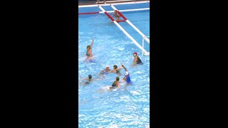 Know everything about water polo [upl. by Petersen]