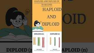 Haploid and diploid in 50 secs Day02100 100dayschallenge neet2025 biology ytshorts [upl. by Barta]