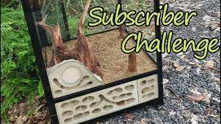 Formicarium Build Subscriber Challenge [upl. by Assetak]