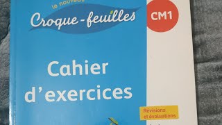 Les terminaisons des noms féminins  cahier dactivités page 26  le trésor des mots CM1 [upl. by Naihtsirc]