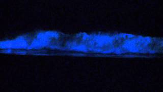 Red Tide Surfing San Diego 2011  Bioluminescence [upl. by Diad328]