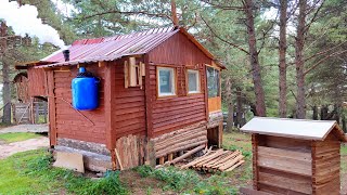 Hiding Alone in the Forest Building a Woodshed Making Delicious Food Preparing for Winter [upl. by Yspyg887]