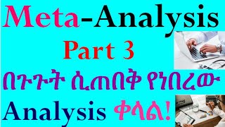 Systematic Review and MetaAnalysis Performing MetaAnalysis Part 3 Interesting Video in Amharic [upl. by Adianez]