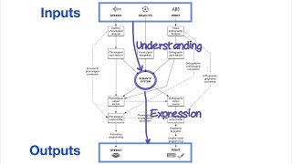 The quotPALPA Modelquot Explained Normal Language Processing in Psycholinguistics [upl. by Abbotsen]