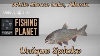 Fishing Planet  Unique Splake  White Moose Lake Alberta [upl. by Hsatan498]