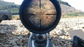 Ruger 1022 22lr shooting at 325 meters [upl. by Teevens]