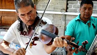 Los Reales De Michoacán •• Ojitos negros [upl. by Nich]