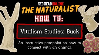 How to Vitalism Studies Buck  Red Dead Online [upl. by Terraj]