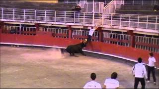 Yannick Michelier ou la passion de la Course Camarguaise [upl. by Atokad]