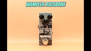 PEDAL OF THE WEEK EPISODE 15  WAMPLER RATSBANE [upl. by Inek731]