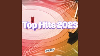 Top Hit Songs [upl. by Aidua682]