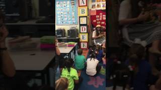 Rainforest RedEyed Tree Frog Read Aloud [upl. by Jordain]