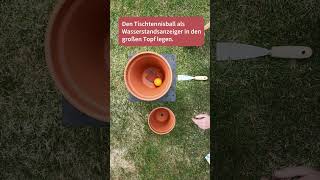 DIY Olla Pflanzenbewässerung basteln [upl. by Pappas440]