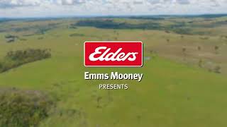 Elders Emms Mooney  Walbrook Howes Road Mount David via Oberon [upl. by Frazer174]