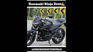 Unveiling the Secret Features of the 2024 Kawasaki Ninja Z250 🔥 [upl. by Einaled]