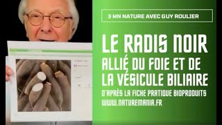 Vidéo Le radis noir ami de votre foie par Guy Roulier [upl. by Jezabelle]