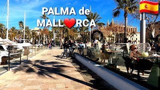 🇪🇦PALMA de MALLORCA 🌴 Walking from Paseo Marítimo to Paseo del Borne February 4K 2024 Spain [upl. by Adnamas]