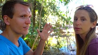 Ist es in Südafrika gefährlich Wie ist es wirklich  Kirstenbosch  VLOG 159 [upl. by Dennett]