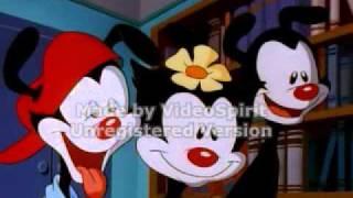 Animaniacs Chalkboard Bungle scene Original AudioFlipped [upl. by Anatlus]