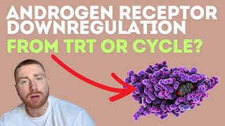 Androgen Insensitivity Syndrome Androgen Receptor Downregulation Myths DEBUNKED [upl. by Ajan]