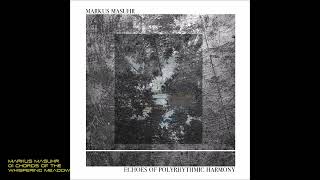 Markus Masuhr  01 Chords of the Whispering Meadow [upl. by Fredie]