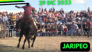 SEGUNDO DIA DE JARIPEO  FIESTA En La Tenencia Lázaro Cárdenas 29 de Diciembre 2023 [upl. by Nolyar]