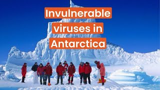 Source of invulnerable viruses found in Antarctica [upl. by Ynattyrb340]