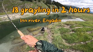 18 temoli in 2 ore  FLY FISHINGDRY FLY [upl. by Howlyn]