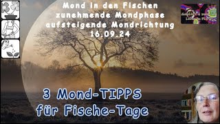 3 MondTIPPs für Fische Tage [upl. by Tull]