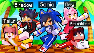 10 Friends on one SONIC BLOCK [upl. by Bascomb637]