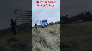 Bucovina Colnic One Loft Race 2 Training Flug 25 km brieftauben pigeon porumbei music birds [upl. by Werby460]