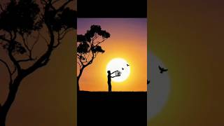 Sunset Photo Editing  👍 Perfect Photo Ideas shorts photoediting tutorial [upl. by Notelrac]