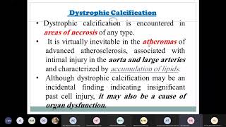 pathologic calcification [upl. by Pernell]