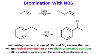 AllylicBenzylic Bromination With NBromo Succinimide NBS [upl. by Engedi]