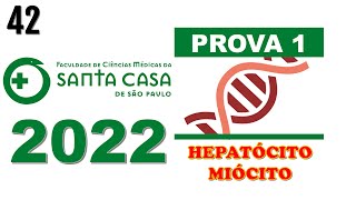 FMSCSP 2022 Um hepatócito tem a função de realizar funções como reservar o glicogênio [upl. by Scevor]