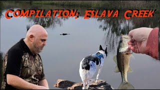 Delta Safari  Compilation Eslava Creek [upl. by Anemij]