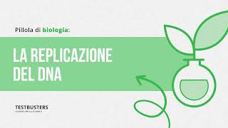 Biologia  La replicazione del DNA [upl. by Esyahc]