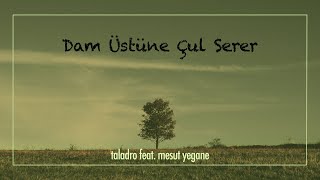 Taladro  Dam Üstüne Çul Serer  ft Mesut Yegane [upl. by Beeck]