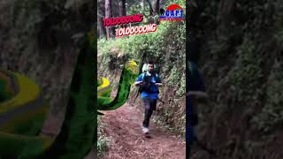 Pendaki Gunung Dikejar Ular Raksasa shorts pendakiangunung dikejar ularraksasa gaptchannel [upl. by Dazhehs954]