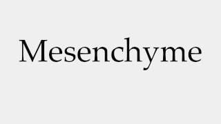 How to Pronounce Mesenchyme [upl. by Ikram]