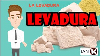 LA LEVADURA  Todo sobre la levadura [upl. by Suisyola740]