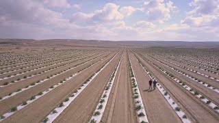 Agriculture in the Negev Today’s Desert Pioneers 5minute clip [upl. by Ariaek713]