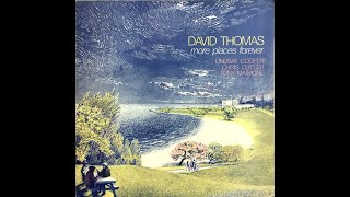 David Thomas amp The Pedestrians  More Places Forever Vinyl [upl. by Fax]